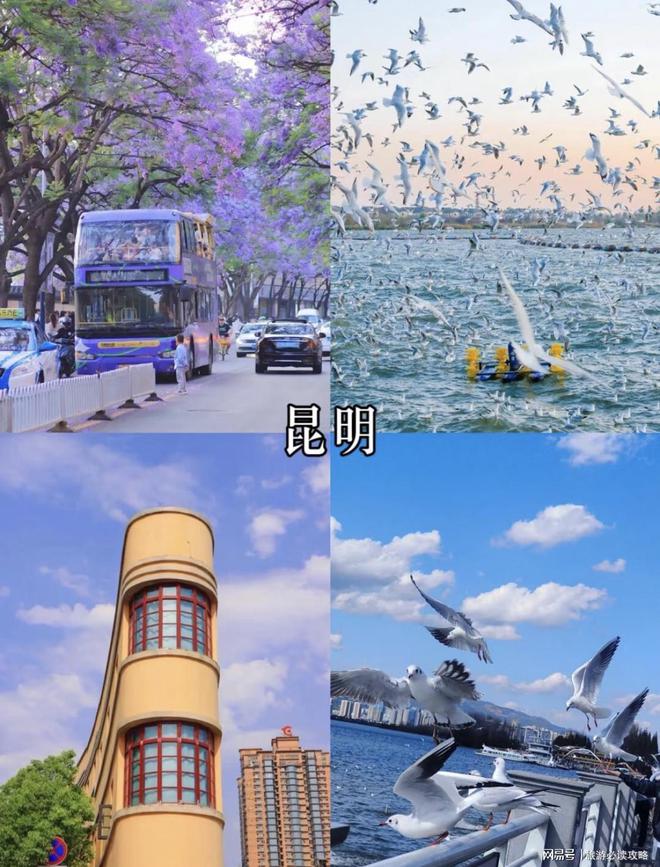 制导游推荐云南不进购物店报团通道J9九游会云南旅游攻略大全私人定(图3)
