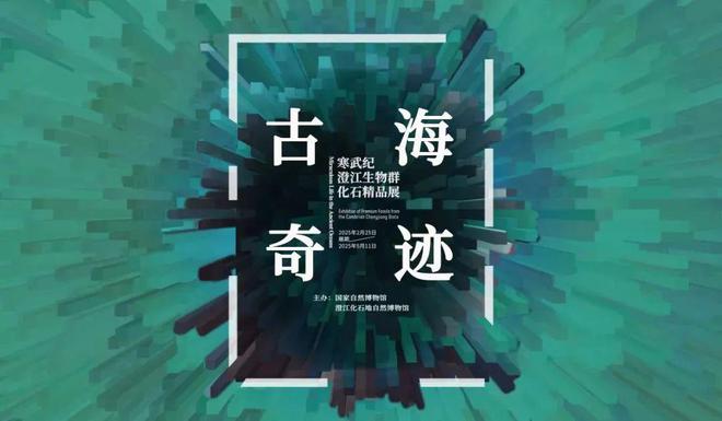0家博物馆的100个热门展览！九游会网址是多少5月全国10(图29)
