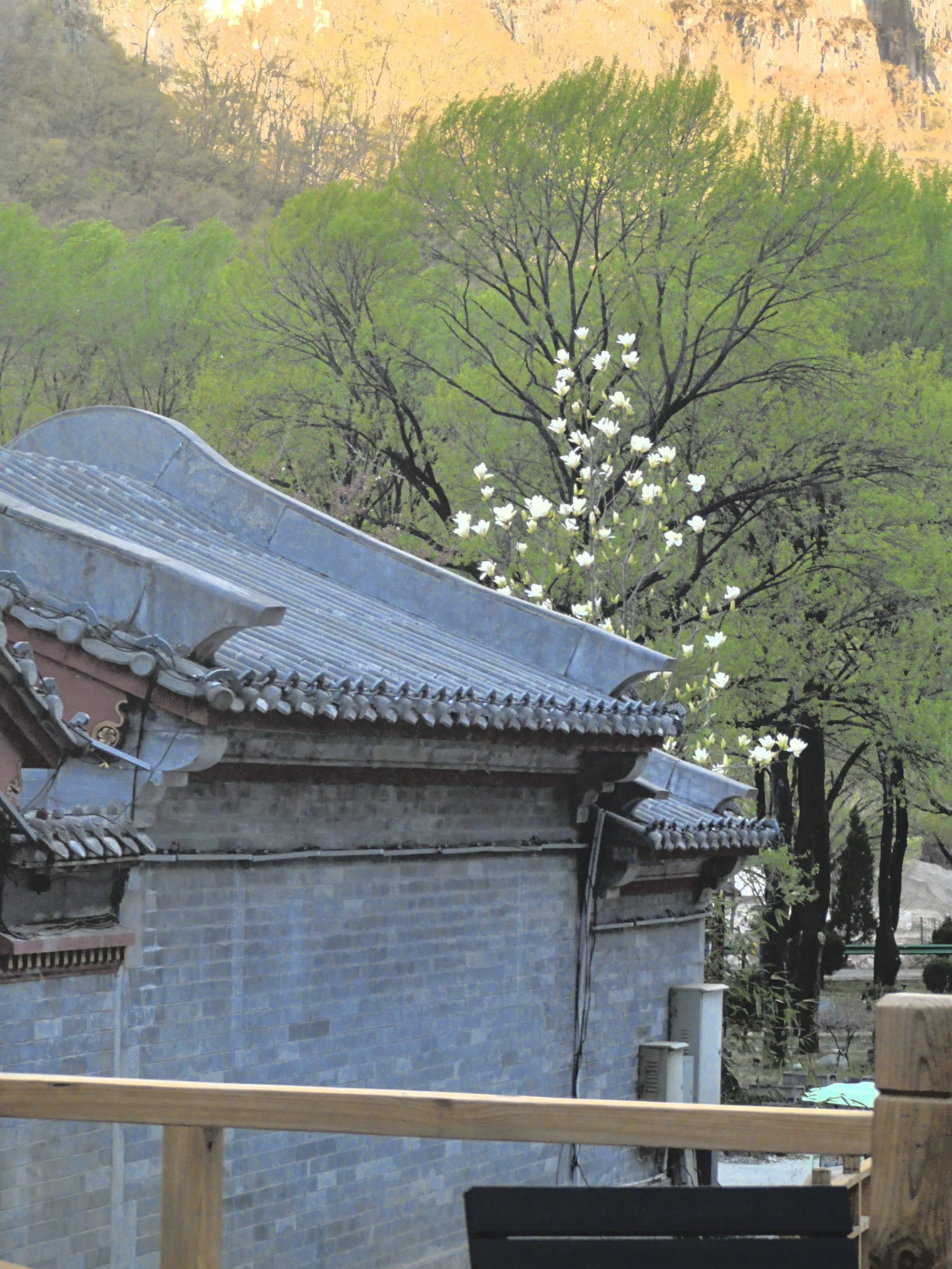 ：澳涞山庄荣登中国十大最美山庄之首j9九游会网址是什么文旅圣地大放榜(图6)