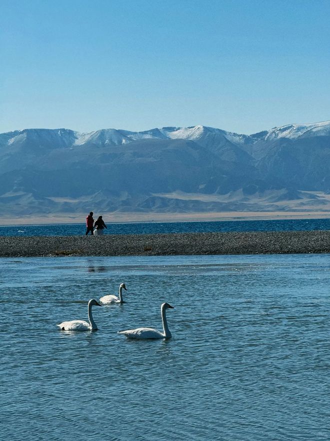 名:如何找到真正口碑最好的新疆旅行社J9真人游戏第一品牌新疆旅行社前十(图2) 名:如何找到真正口碑最好的新疆旅行社J9真人游戏第一品牌新疆旅行社前十(图2)