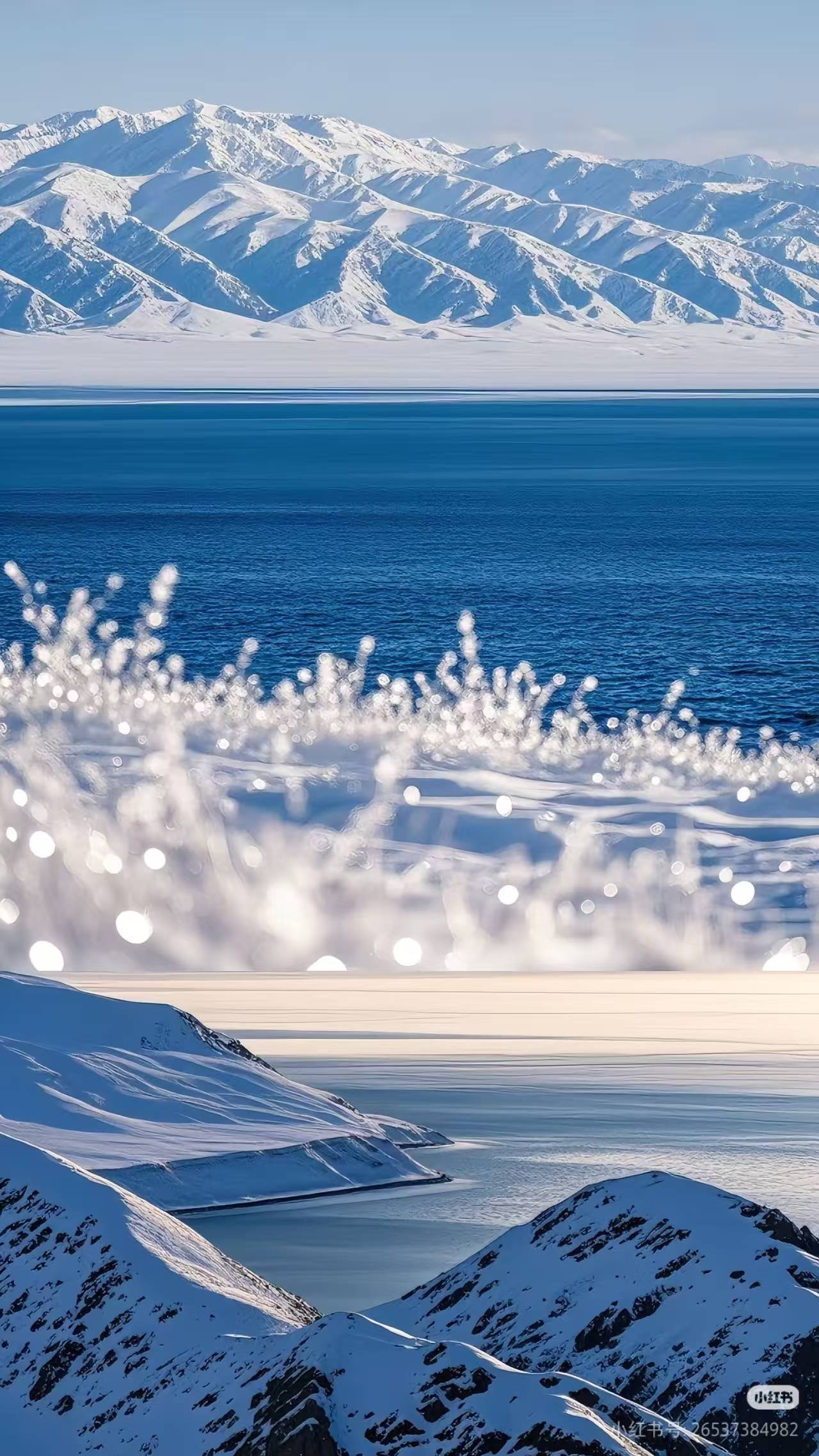 端定制游数据实测：路线%九游会伊犁问疆行旅行社高